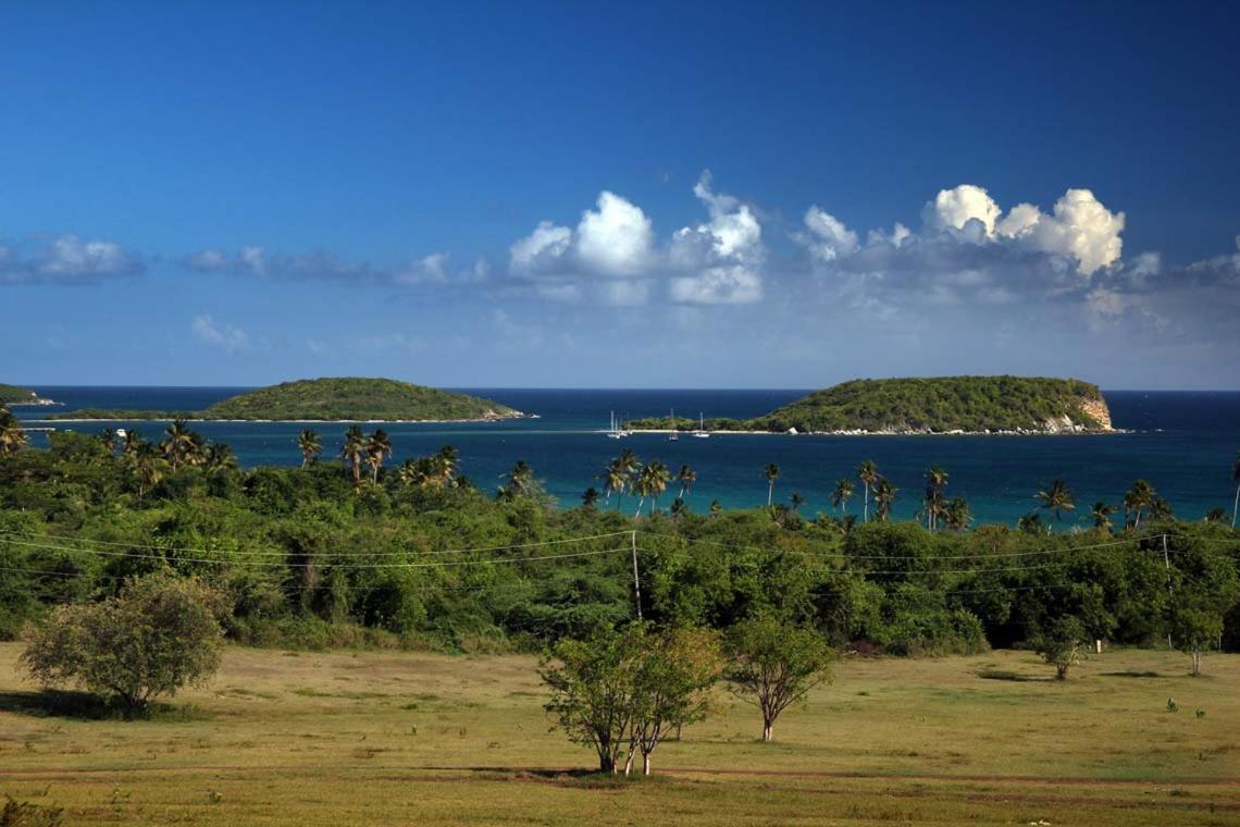 Hacienda Tamarindo Hotel Vieques Bagian luar foto